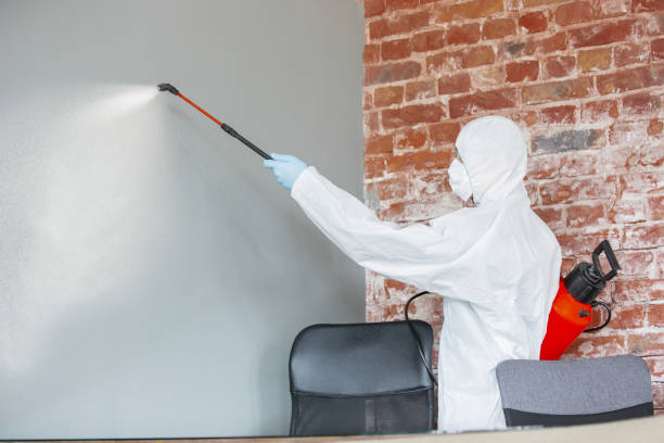Best Biohazard Mold Removal  in Fort Belvoir, VA